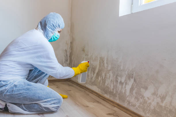 Crawl Space Mold Remediation treatment of floor joists in Cresskill